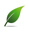 green_icon-Leaf100px