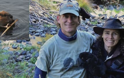 6th Annual Eco Hero Award