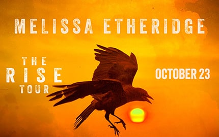Melissa Etheridge: RISE