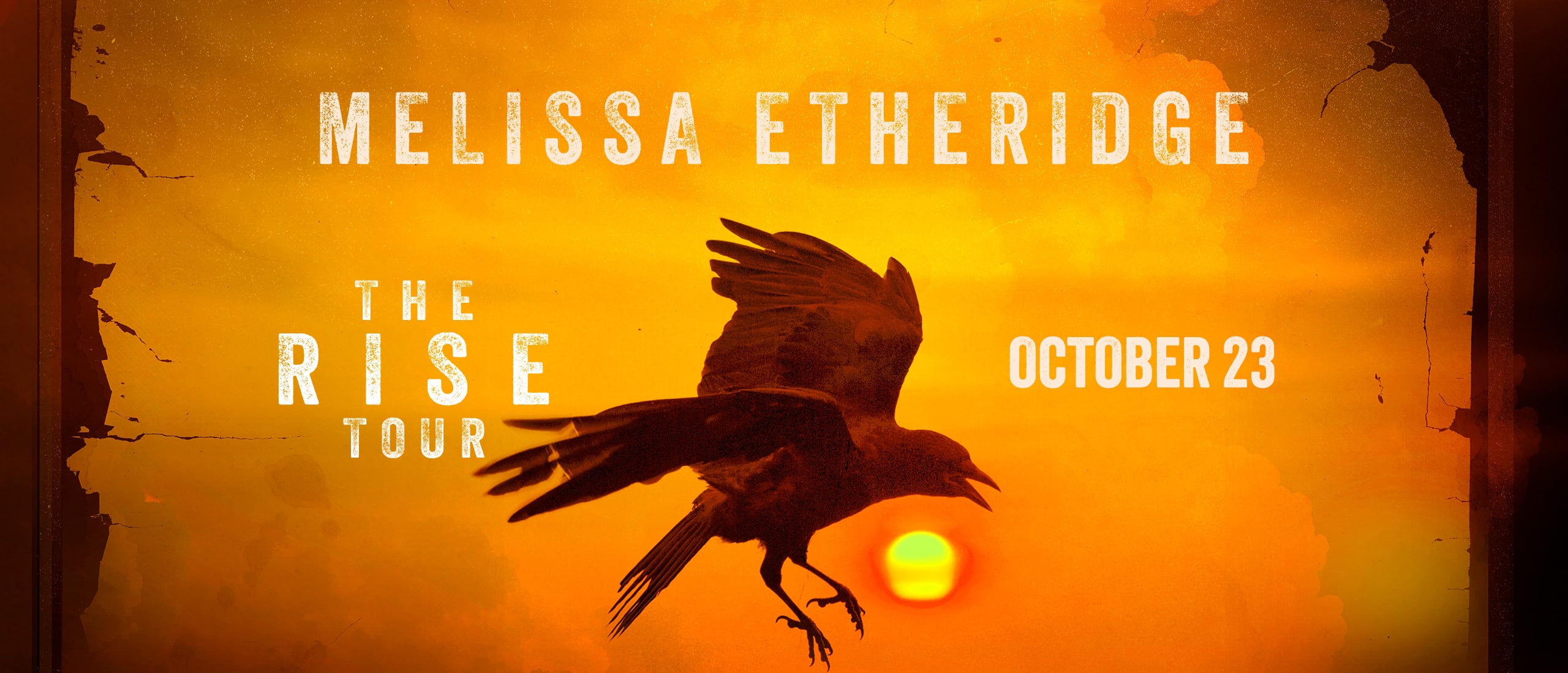 Melissa Etheridge: RISE