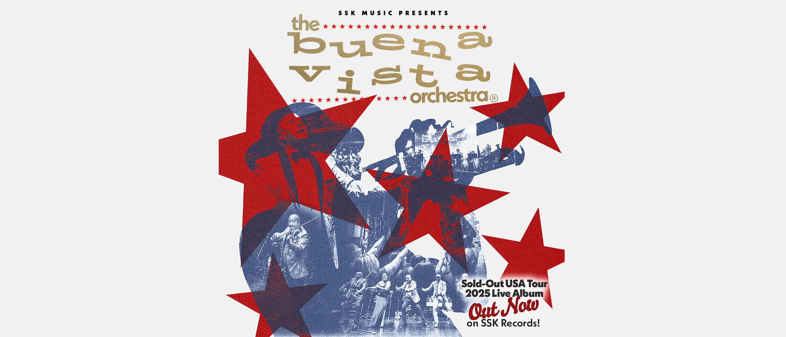 Buena Vista Orchestra